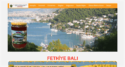 Desktop Screenshot of fethiyebali.com